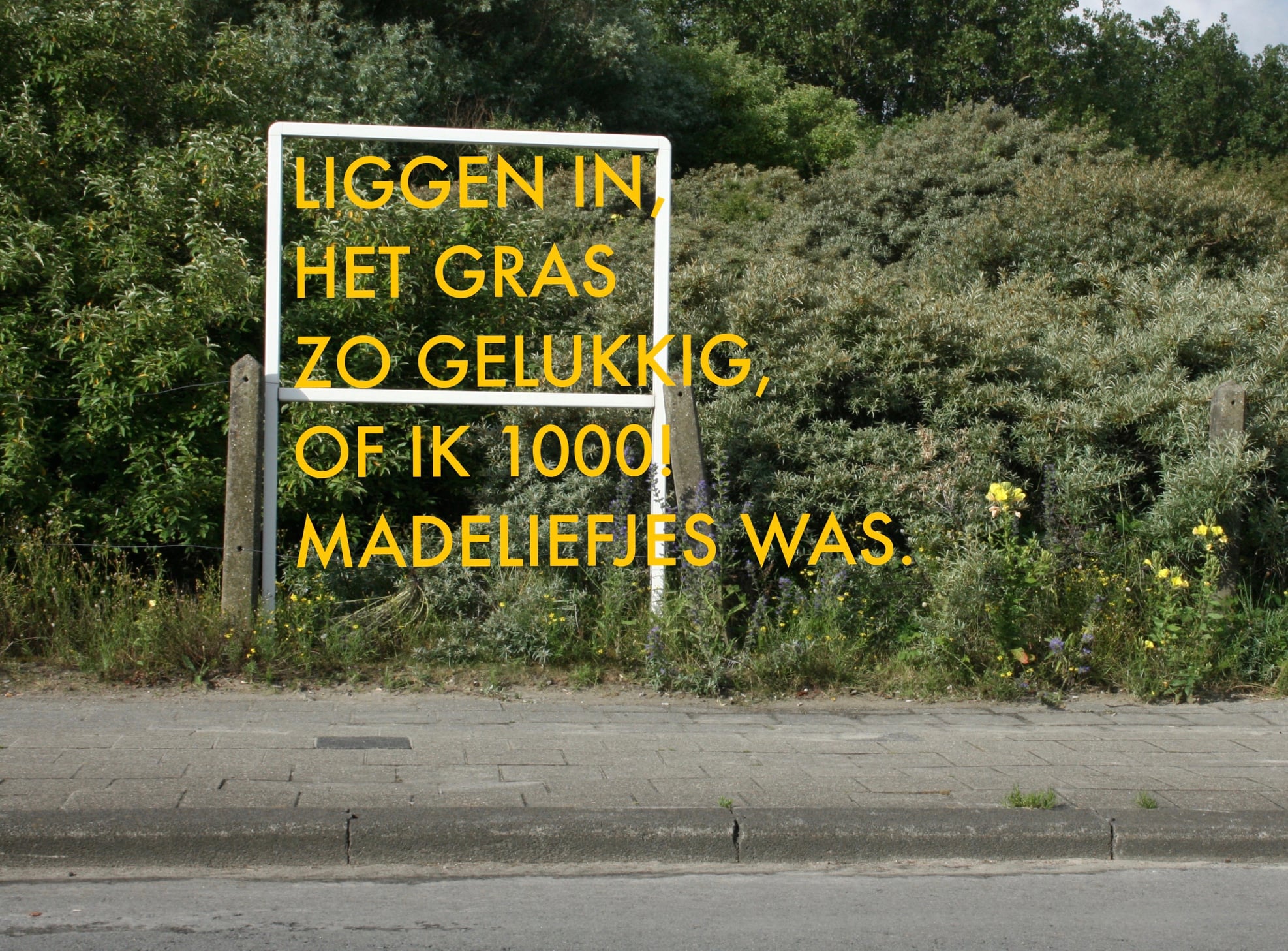 Liggend in het gras, alsof ik 1000 madeliefjes was